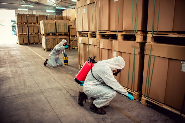 Best Commercial Pest Control Services  in Stamford, CT