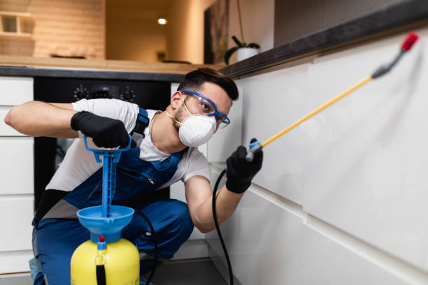 Best Best Pest Control Companies  in Stamford, CT
