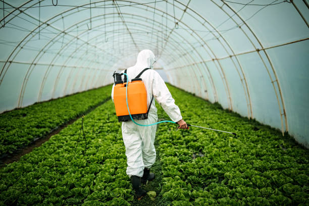 Best Local Pest Control Services  in Stamford, CT