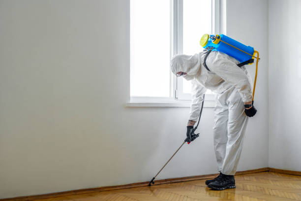 Wildlife Control Services in Stamford, CT