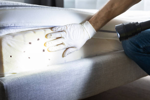 Best Pest Inspection Near Me  in Stamford, CT