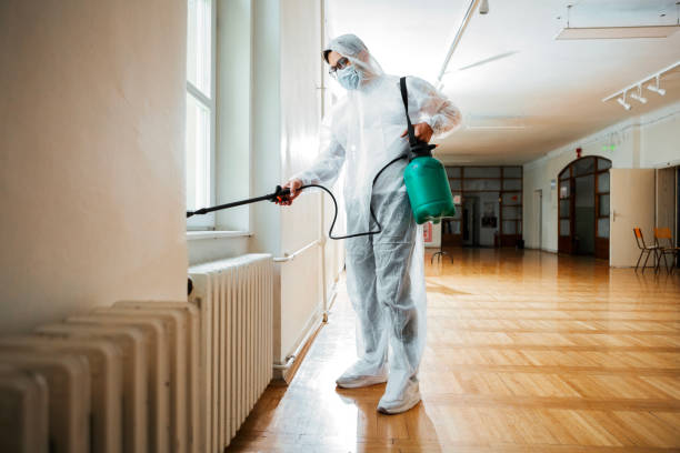 Professional Pest Control in Stamford, CT